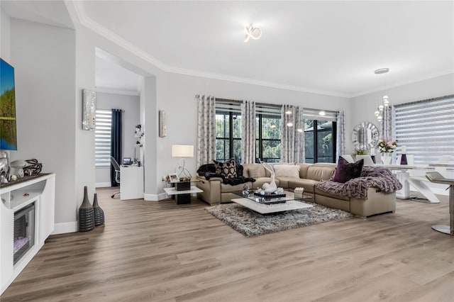 living room with hardwood / wood-style flooring and crown molding