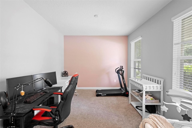 office with light colored carpet and a healthy amount of sunlight