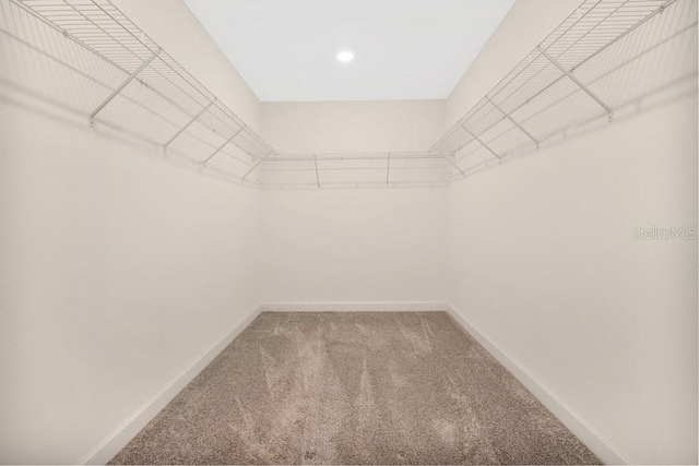 walk in closet with carpet