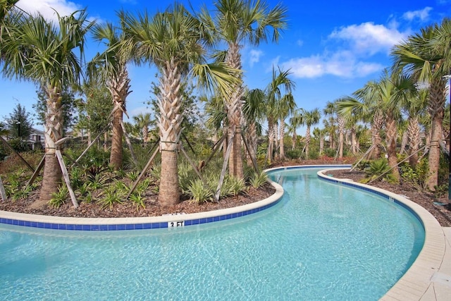7143 Oakmoss Loop, Davenport, FL 33837 - view of community pool