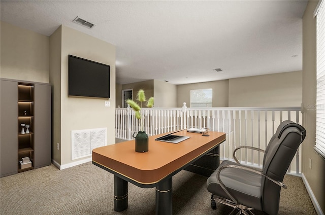 view of carpeted home office