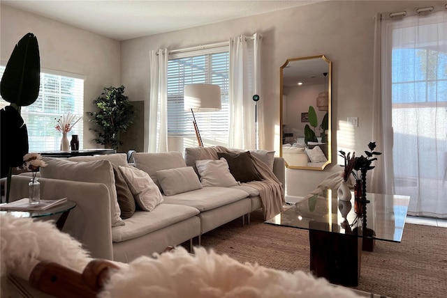 living room with a wealth of natural light