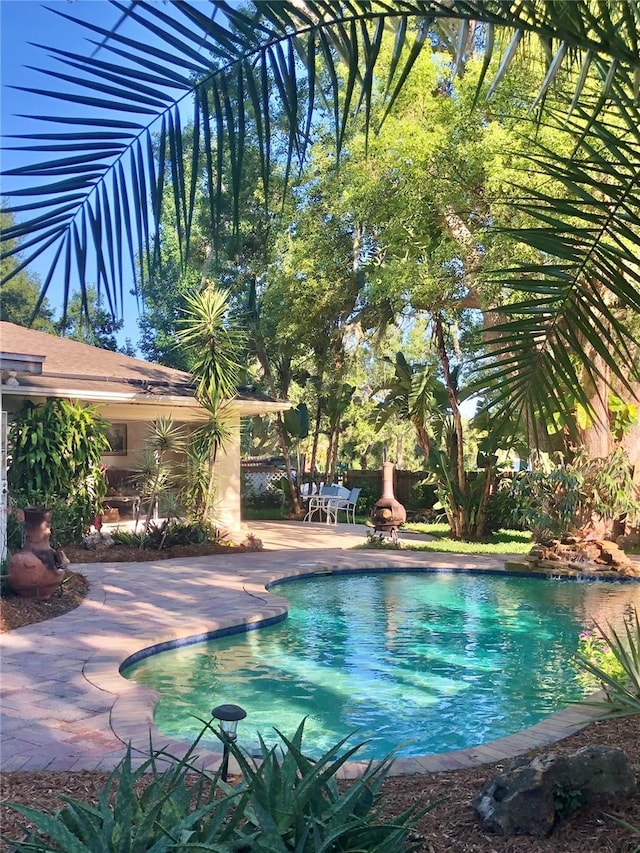 view of pool with a patio