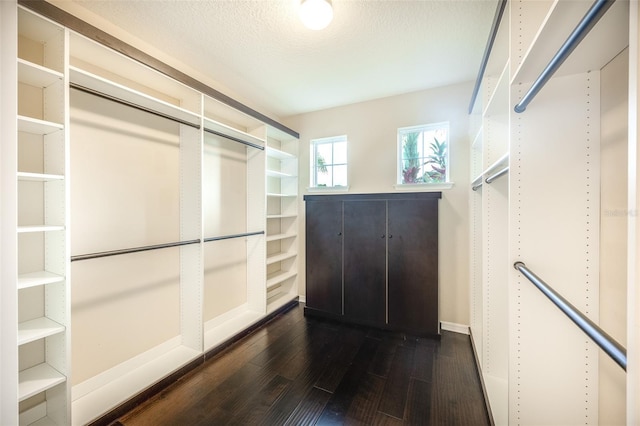 spacious closet featuring dark wood-type flooring