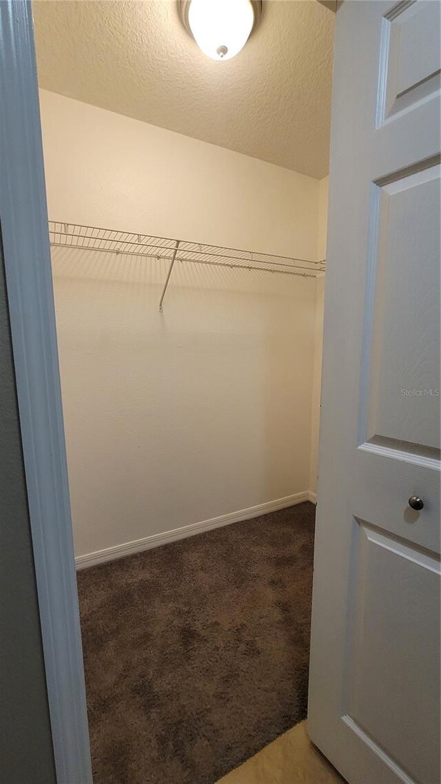 spacious closet with carpet flooring