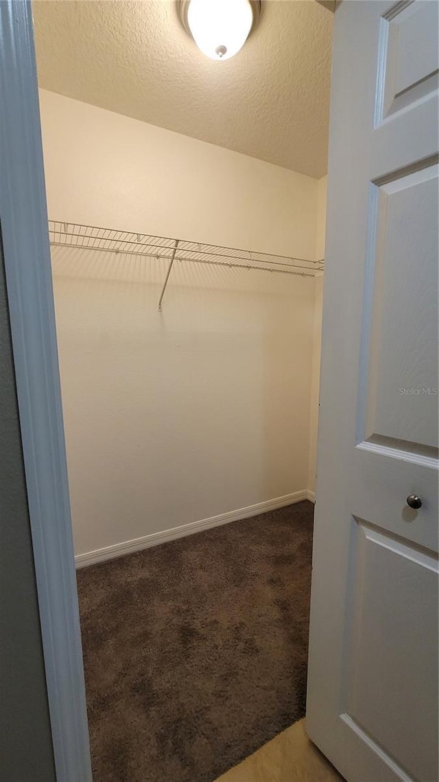 walk in closet with carpet floors