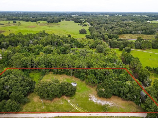 2901 Carter Jones Rd, Groveland, FL 34736 - photo 3