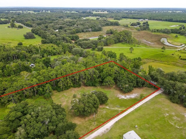 2901 Carter Jones Rd, Groveland, FL 34736 - photo 4