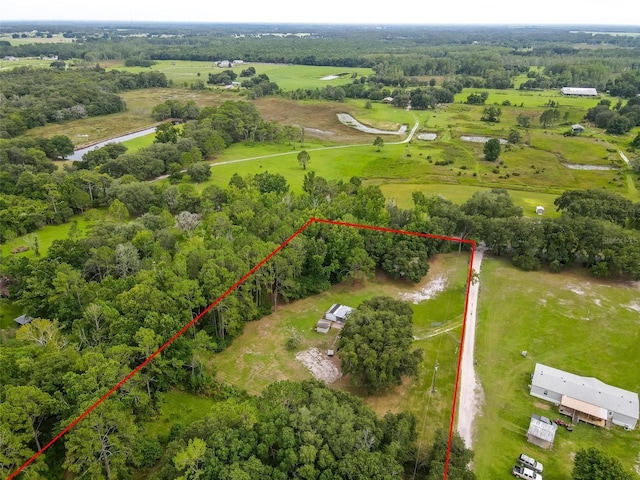 2901 Carter Jones Rd, Groveland, FL 34736 - photo 5