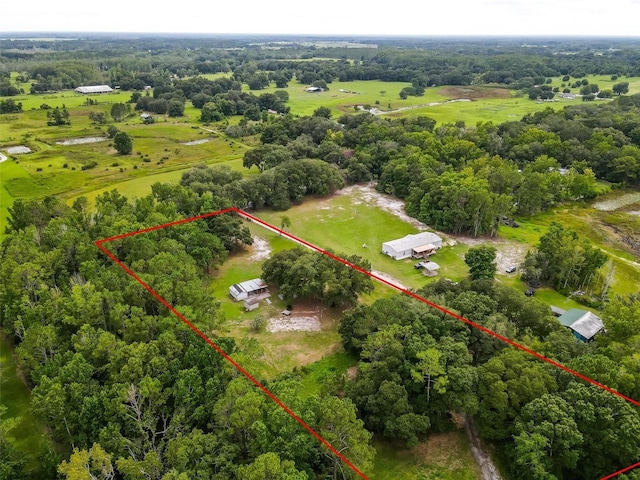 2901 Carter Jones Rd, Groveland, FL 34736 - photo 6