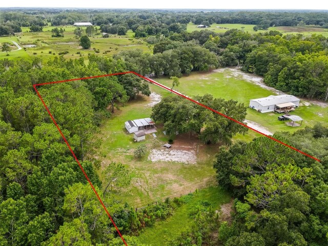 2901 Carter Jones Rd, Groveland, FL 34736 - photo 7