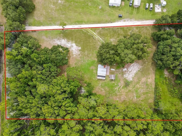 2901 Carter Jones Rd, Groveland, FL 34736 - photo 8