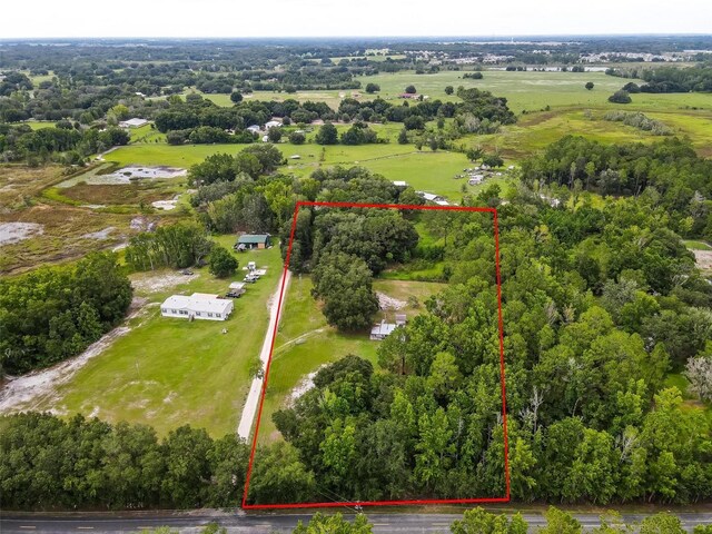2901 Carter Jones Rd, Groveland, FL 34736 - photo 9