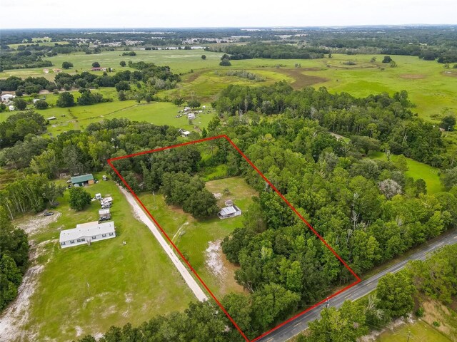2901 Carter Jones Rd, Groveland, FL 34736 - photo 10