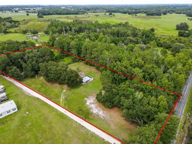 2901 Carter Jones Rd, Groveland, FL 34736 - photo 11