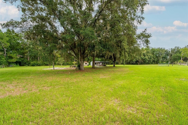 2901 Carter Jones Rd, Groveland, FL 34736 - photo 14