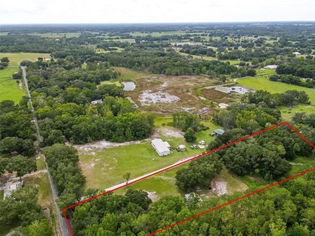 2901 Carter Jones Rd, Groveland, FL 34736 - photo 18