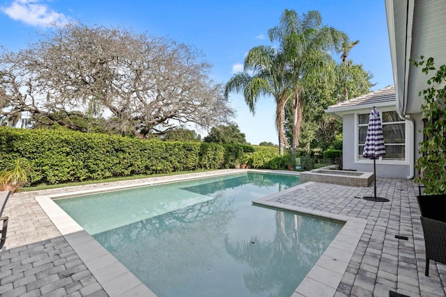 view of pool with a patio