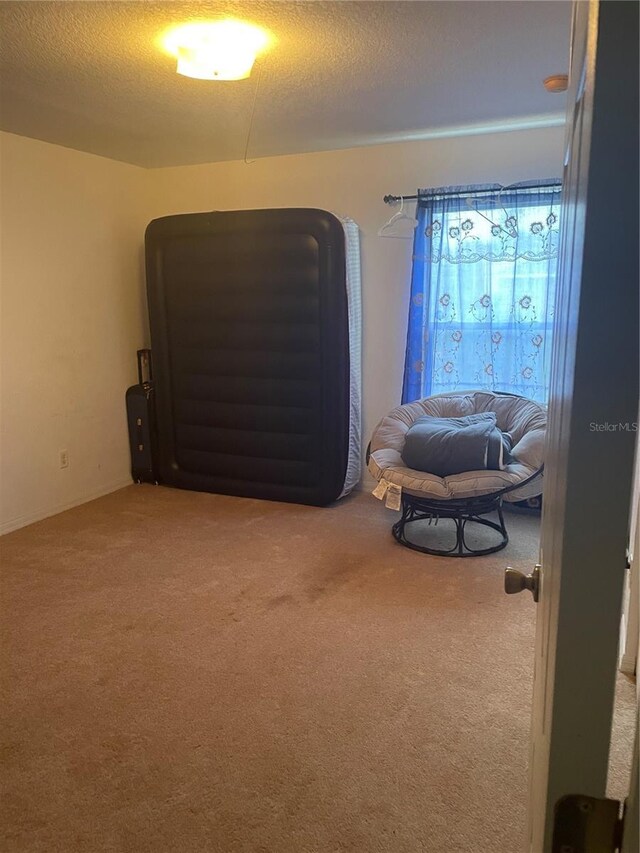 interior space with a textured ceiling and carpet floors