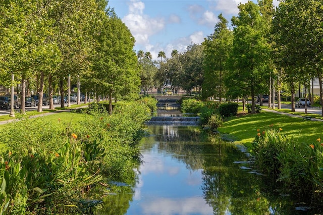 view of community featuring a water view