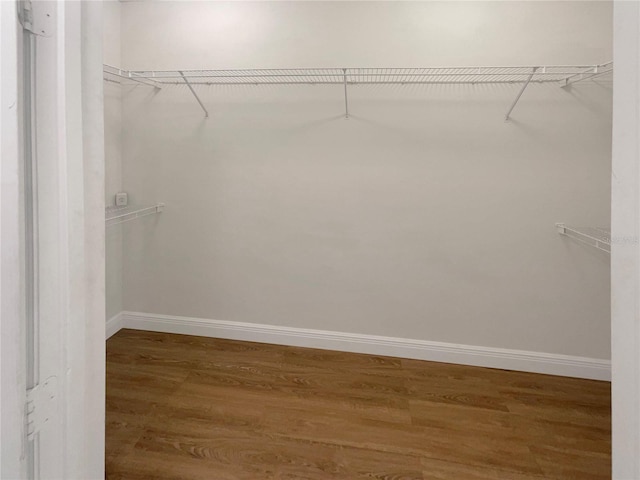 walk in closet with wood-type flooring