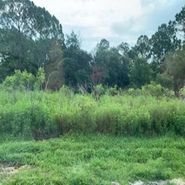 Sebring Ct, Kissimmee, FL 34759