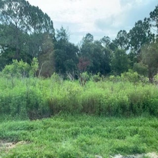 Sebring Ct, Kissimmee FL, 34759 land for sale