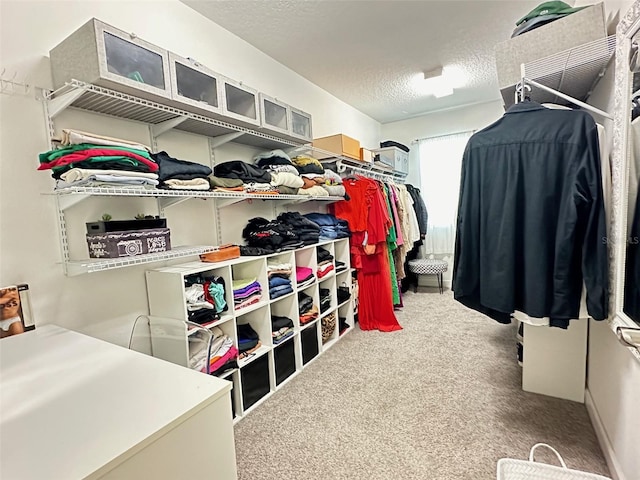 spacious closet with carpet