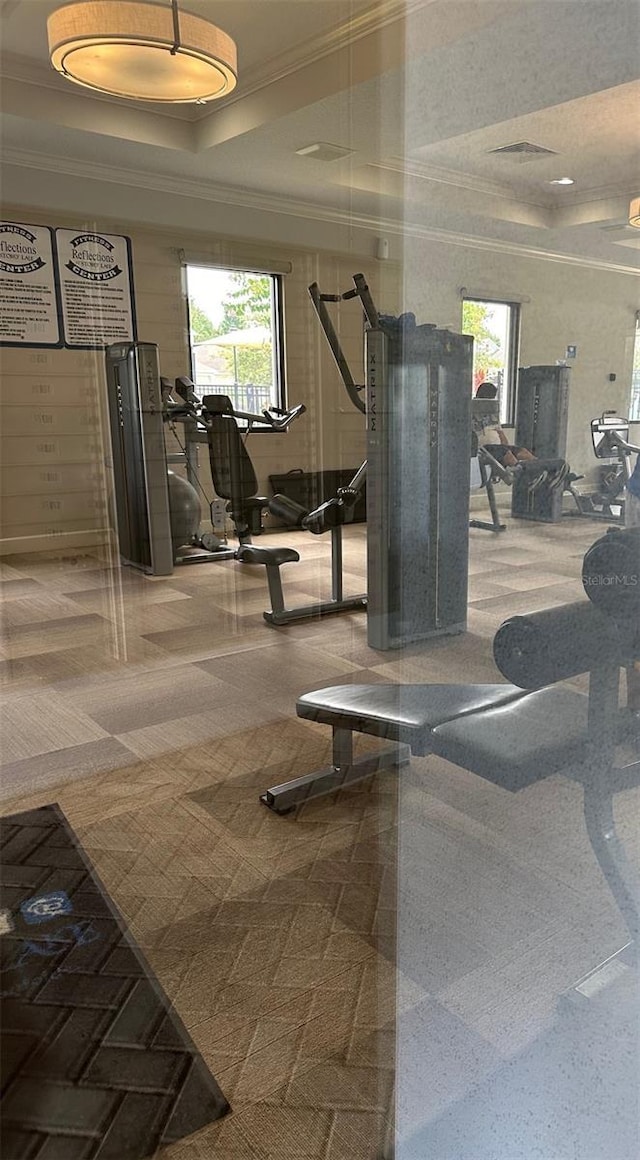 workout area featuring ornamental molding and a raised ceiling