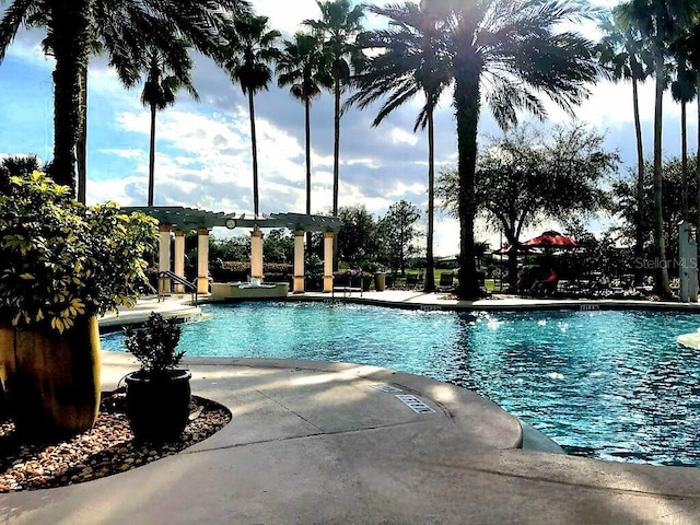 view of pool featuring a patio area and a pergola