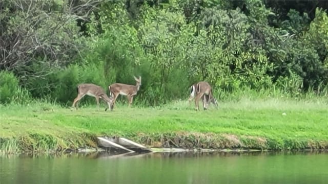 property view of water