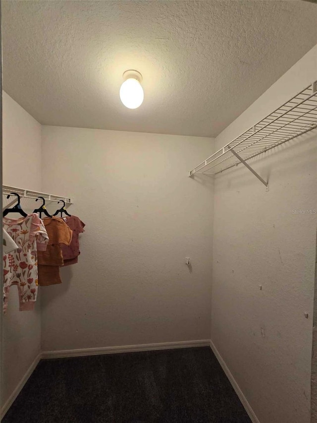 spacious closet featuring carpet