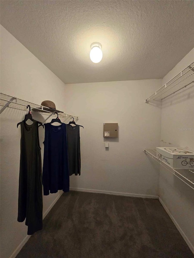 walk in closet featuring dark carpet