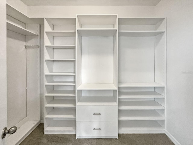 spacious closet with dark carpet