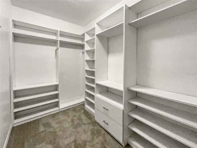 spacious closet featuring dark colored carpet