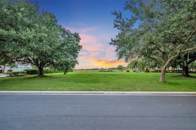 1513 Sunset Pointe Pl, Kissimmee FL, 34744 land for sale