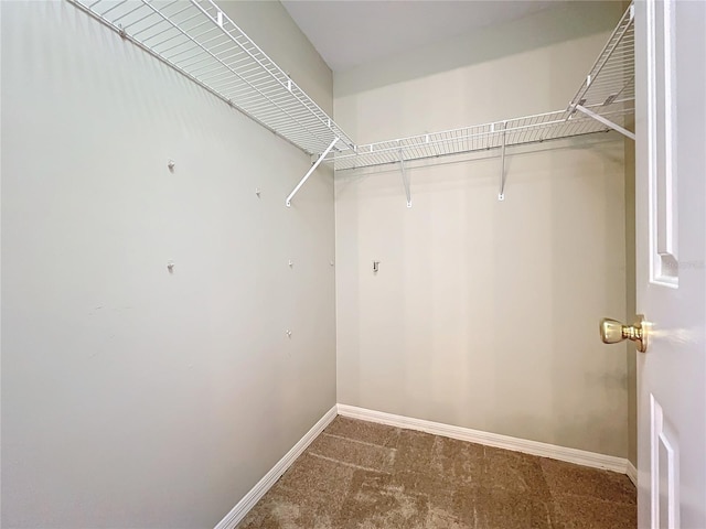 spacious closet with carpet floors