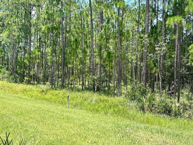 view of landscape