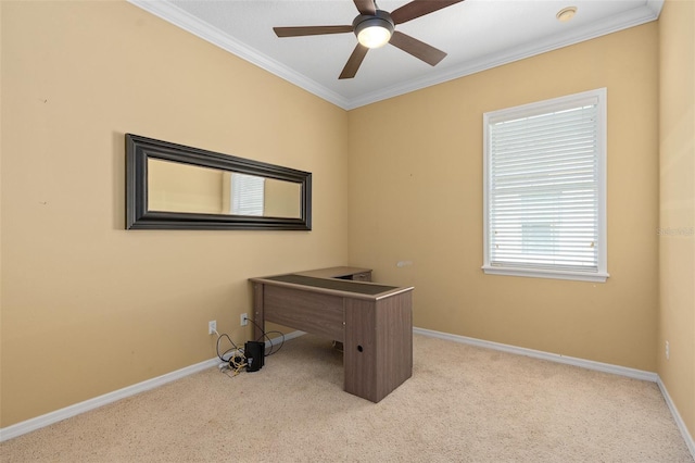 unfurnished office with ceiling fan, light carpet, and crown molding