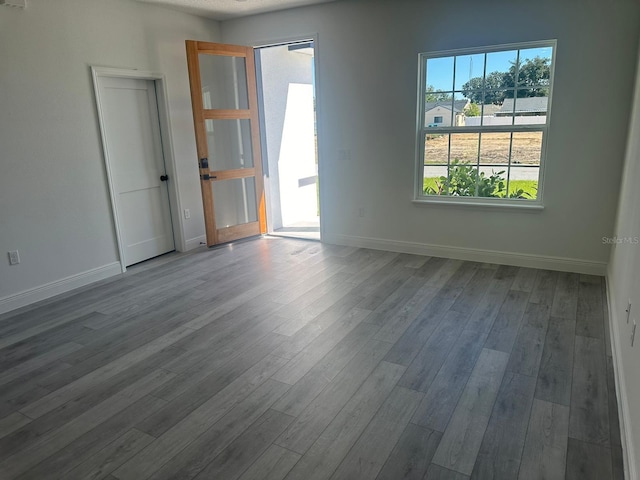 spare room with wood-type flooring