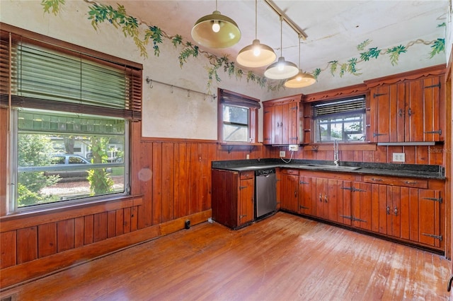 kitchen with sink, light wood-type flooring, stainless steel dishwasher, a wealth of natural light, and pendant lighting