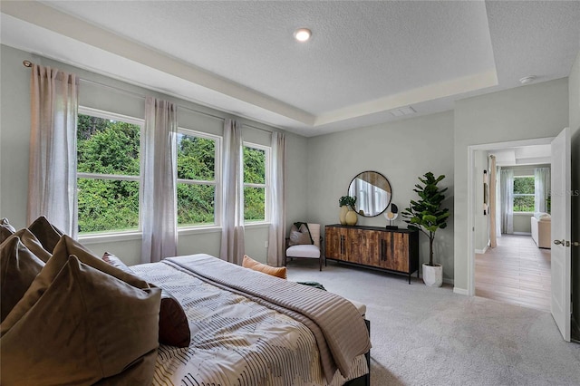 bedroom featuring a textured ceiling, baseboards, a raised ceiling, and light colored carpet