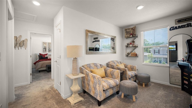 sitting room with light carpet