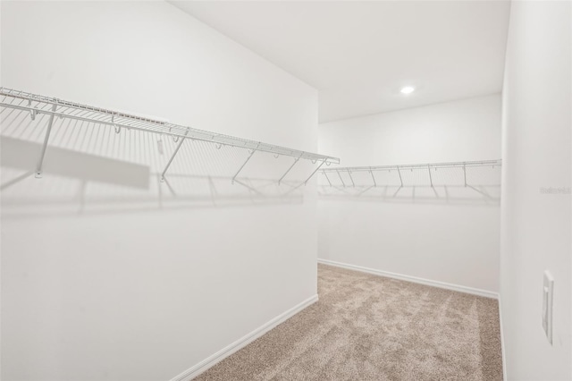 walk in closet featuring light colored carpet