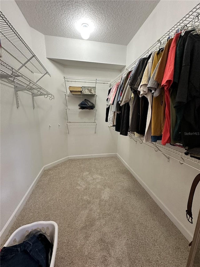 walk in closet featuring carpet