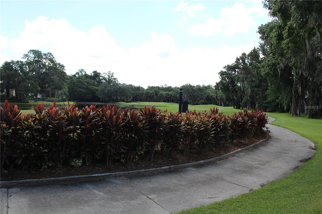 view of home's community with a lawn