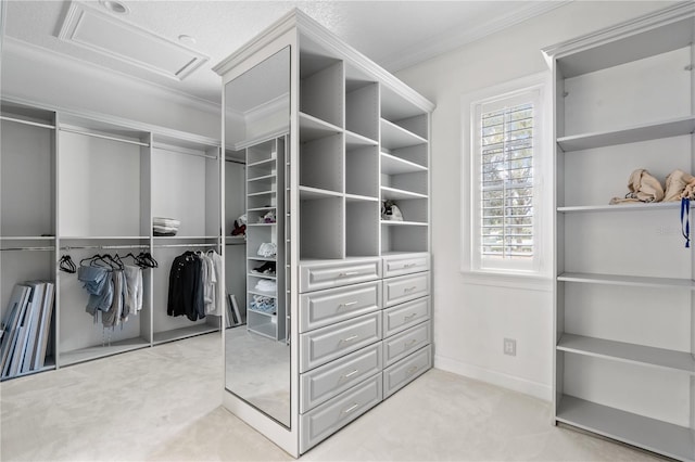 spacious closet with light carpet