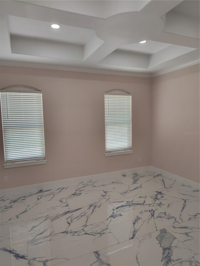 spare room featuring a raised ceiling and crown molding