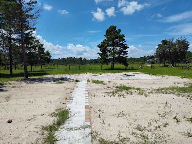 view of yard with a rural view