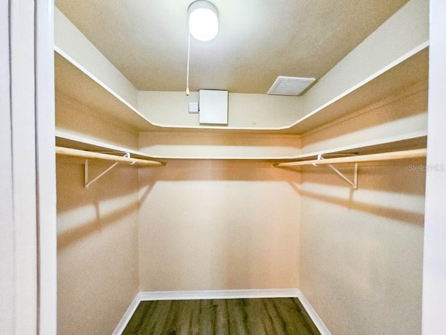 walk in closet featuring dark hardwood / wood-style floors